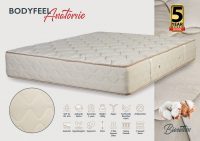 Bodyfeel-Anatomic-Biocotton-1-scaled